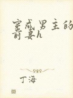 穿成男主的炮灰前妻h