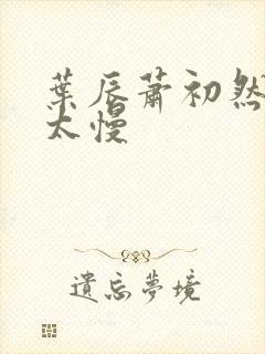 叶辰萧初然更新太慢