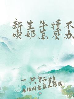 新生牛犊不张嘴吃奶怎么办