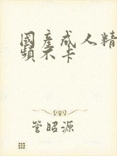 国产成人精品视频不卡