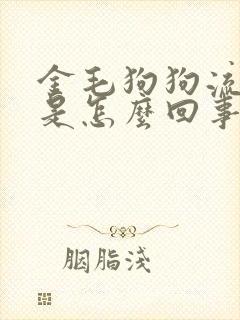 金毛狗狗流口水是怎么回事