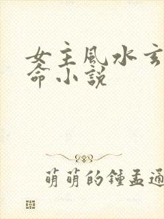 女主风水玄学算命小说