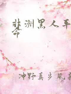 非洲黑人平均寿命