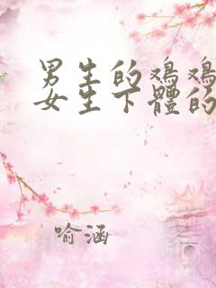 男生的鸡鸡伸进女生下体的视频