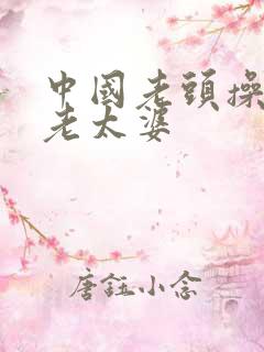 中国老头操中国老太婆