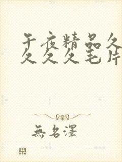 午夜精品久久久久久久毛片