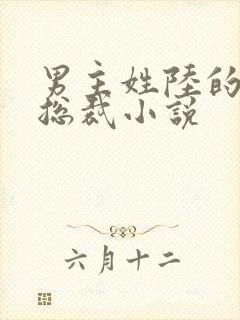 男主姓陆的豪门总裁小说