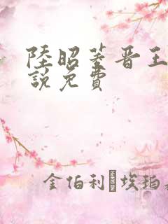 陆昭菱晋王的小说免费