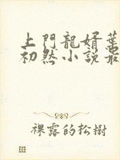 上门龙婿叶辰萧初然小说最新章节更新无弹