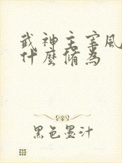 武神主宰风少羽什么修为