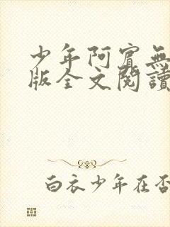 少年阿宾无删减版全文阅读