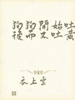 狗狗开始吐白沫后面又吐黄水咋办