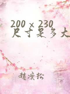 200ⅹ230尺寸是多大被子