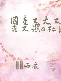 国产又大又猛又爽又湿a社区视频