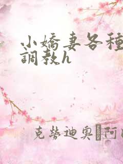 小娇妻各种姿势调教h