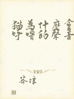 猫为什么会呼噜呼噜的声音呢