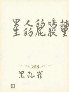 男人的鸡插进女生的屁股里视频