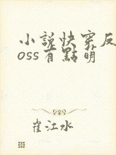 小说快穿反派boss有点萌