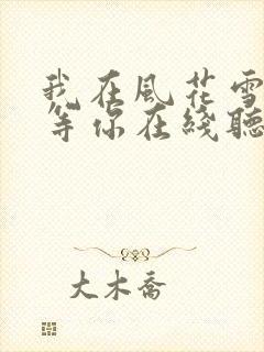 我在风花雪月里等你在线听书