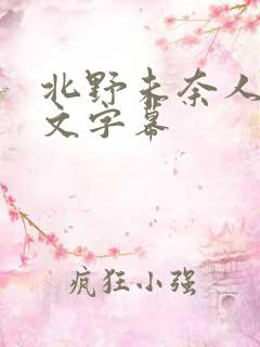 北野未奈人妻中文字幕