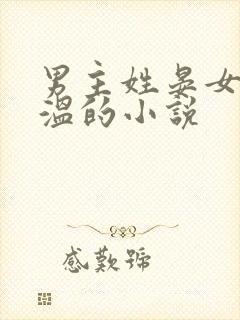 男主姓晏女主姓温的小说