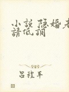 小说 隐婚老公请低调