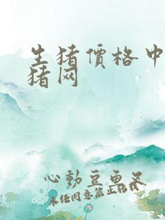 生猪价格中国养猪网