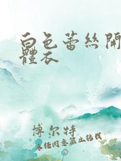 白色蕾丝开裆连体衣