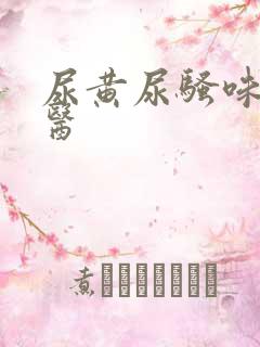 尿黄尿骚味重中医