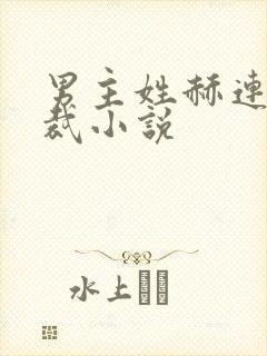 男主姓赫连的总裁小说