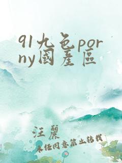 91九色porny国产区