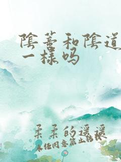 阴蒂和阴道高潮一样吗