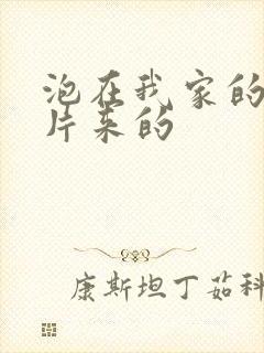 泡在我家的辣妹片来的