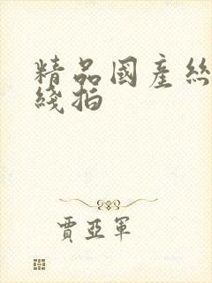 精品国产丝袜在线拍