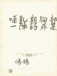 哺乳期胸部一阵一阵的疼是什么原因