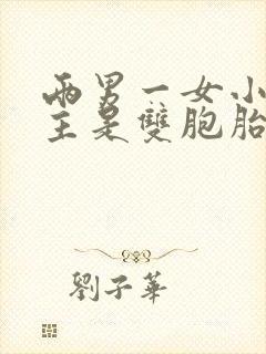 两男一女小说男主是双胞胎