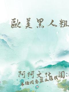 欧美黑人粗又长