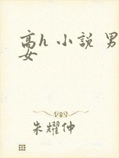 高h 小说 男女
