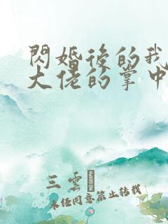 闪婚后的我成了大佬的掌中之物