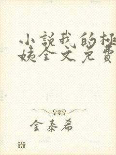 小说我的极品小姨全文免费阅读