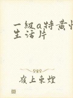 一级a特黄性色生活片