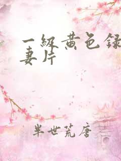 一级黄色录像夫妻片