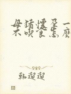 母猪怀孕一个月不吃食怎么办