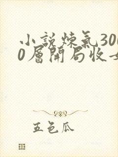 小说炼气3000层开局收女帝为徒那里可以看