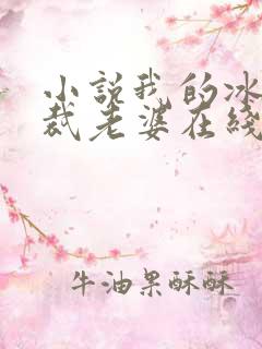 小说我的冰山总裁老婆在线阅读