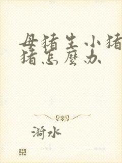 母猪生小猪咬小猪怎么办