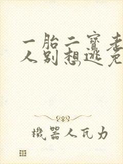 一胎二宝老婆大人别想逃免费阅读