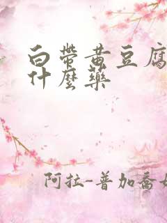 白带黄豆腐渣用什么药