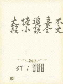 大佬追妻不择手段小说全文阅读