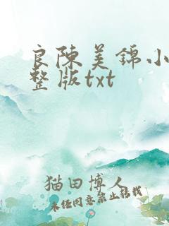 良陈美锦小说完整版txt